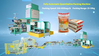 25-50KG PP Woven Bag Fully Automatic Packing Line Quantitative Machine (Q9)