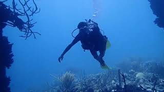 Rob en Frank doen een duikje bij de Zoutpier, Bonaire