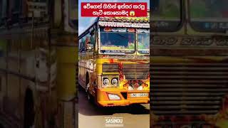 Hi එයා රෙස් යන හැටි 🥰 #automobile #1millon #teamsasindu #trending #bus #1million