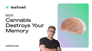 Does Cannabis Affect Your Memory?