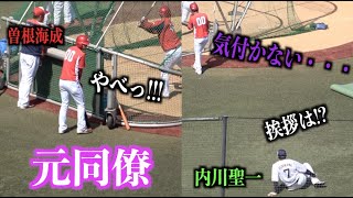 やべっ!!!元同僚内川聖一に気付いて慌てて挨拶に行く曽根海成【広島東洋カープ】