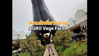 สวนผักที่ปากซองแดนหนาว|| AGRO Vege Farm #ต้นกระบองเพชรสวยงาม#สวนดอกไม้ #สวนผัก #laos#เที่ยวลาวใต้