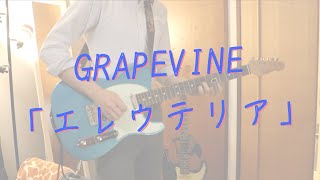 GRAPEVINE 「エレウテリア」 弾いてみた