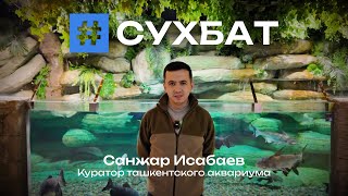 Сухбат: Санжар Исабаев и подводный мир Ташкента, в тысячах километров от океана