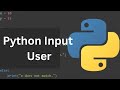 Python Tutorial for Beginners - User input in Python