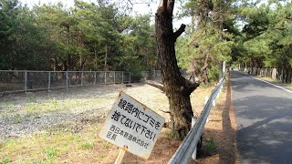 西鉄宮地岳線廃線跡と宮地嶽神社 2012年5月5日