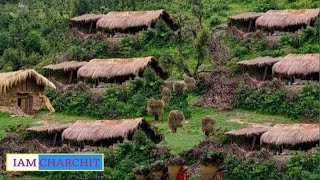 Himalayan Village Life||Dolpa Nepal||Shepherd Life in Winter||Shepherd Food|Real Nepali Life|Village