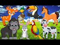 Sounds of wild animals, familiar animals, gorilla, cow, parrot, toucan, deer, duck, horses,