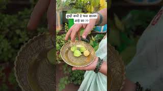 तुम्ही कधी हे फळ खाल्ल आहे का ? 😋😋😋 #youtube #fruit #tasting