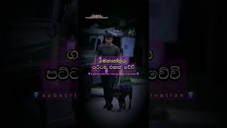 ඉවසීමෙන් ඔබේ ගමන යන්න|Be patient and go on your way|sinhalamotivation|whatsapp#life#shortvideo