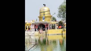 Vasudev tirth Amroha||Mira Baba ka darbar#shortvideo #shots