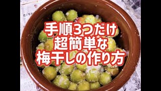 超絶簡単！こどもでもできる！梅干しの作り方・漬け方