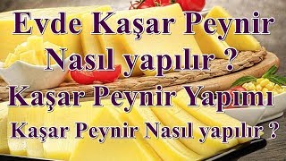 Kaşar peynir nasıl yapılır | Evde kaşar peyniri yapımı doğal