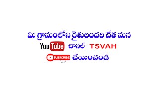 TSVAH PUBLICITY(పశువైద్యం, తెలంగాణ ) యూ ట్యూబ్ ఛానల్ సబ్ స్క్రిప్షన్  గురించి డైరెక్టర్ మెసేజ్