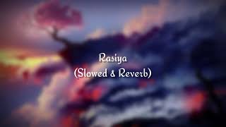 Rasiya (slowed & Reverb) | Lofi song | lofi diary