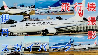 迫力満点‼︎飛行機撮影〜スカイパーク伊丹✈️〜