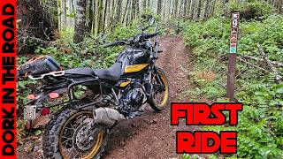 Downed Trees, Singletrack, and a Mountaintop: Royal Enfield Himalayan 450 First Ride