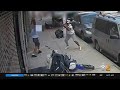 Mailman Attacked On The Job In Brooklyn