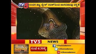 ನೀರಿನ ತೊಟ್ಟಿಯಲ್ಲಿ ಬಿದ್ದಿದ್ದ ನಾಗರ ಹಾವು ರಕ್ಷಣೆ |  Shimoga  | TV5 Kannada