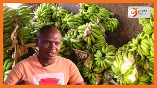 | BIZ GHETTO | Justin Meleji: Banana Ripening Process