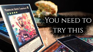 The Best Deck You've Never Played | Madolche