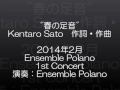 ensemble polano 1st concert