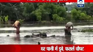 Flood situation in Kishanganj area of Bihar