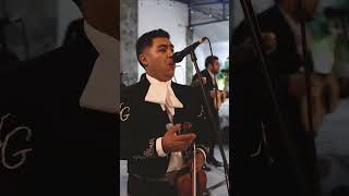 Mil Horas (Short) - Mariachi Guadalajara