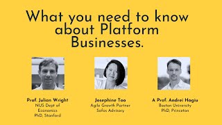 What you need to know about Platform Businesses (Platform Series with Julian Wright + Andrei Hagiu)