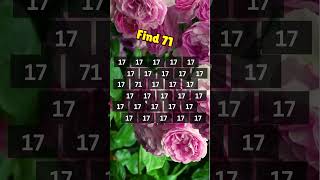 FIND 17