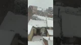neige à Ain El hemam, michelet #météo #neige #snow #ثلوج #algerie #tourism #kabylie #nature #new