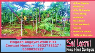 Kokan  Raigad Alibag Property