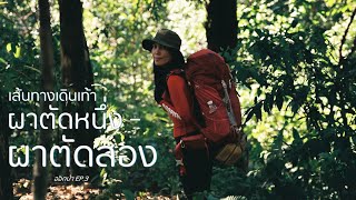 เส้นทางเดินเท้าขึ้นผาตัด1 และผาตัด2 จากพื้นล่างจนถึงยอด Thailand Hiking Trail I ออกป่า EP.3