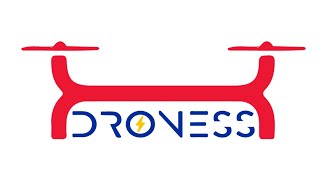 Introducing the DRONESS interface: a tool for UAV-based network design