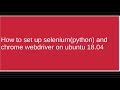 How to set up selenium(python) and Chrome Webdriver on Ubuntu 18.04. chromeorg