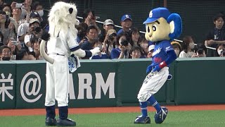 ベルーナドームでも井森ダンス\u0026魅惑の腰つきを披露するドアラ（笑） (2023/06/07)