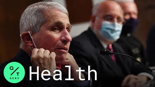 New Swine Flu Strain Discovered in China With Pandemic Potential, Fauci Says