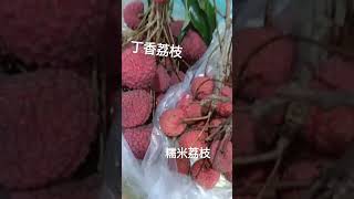 #lychee  丁香荔枝，快要和雞蛋一樣大，2023.07.07，(#fruits，#lychee)