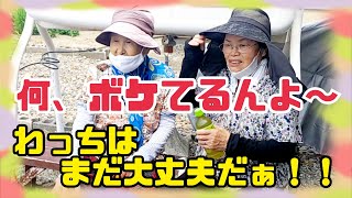 #449【80代のババ友】仲良く、お花観賞🏵️