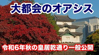 大都会のオアシス！皇居乾通りと東御苑の紅葉