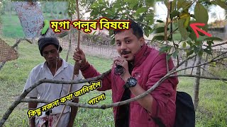 মূগা পলু পোহাৰ কিছু নিয়ম | Dhakuakhana Muga Farm