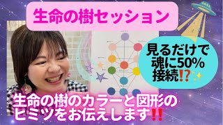 生命の樹セッションのカラーと図形のヒミツ✨✨宇宙のパワーにダイレクトにつながるセッション❤️