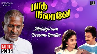 Malaiyoram Veesum Kaathu | Paadu Nilave | Ilaiyaraaja | SPB | Mohan | Nadhiya | Vaali