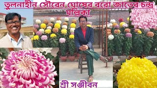 তুলনাহীন সৌরেন ঘোষের  চন্দ্র মল্লিকা ||Souren Ghosh's  Chrysanthemum Giants ||Sree Sanjiban ||