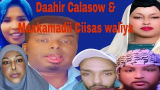 Daahir Calasow 2025 \u0026 Maxkamadii Ciisas waliya Qaybtii Kobaad.