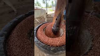 मूंगफली से तेल कैसे निकाला जाता है? || Traditional Groundnut Organic Cold Press Oil Making #short