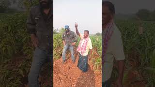 # అన్నం పెట్టే అన్నదాతకు ఒక లైక్ # Agriculture YouTube Shorts# like share subscribe