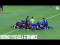 every dhl stormers try in the urc 2021 22 season stormers highlights