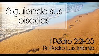 Pr. Pedro Luis Infante, SIGUIENDO SUS PISADAS , 1 Pedro 2: 21-25