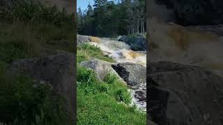 Flowing river #riversounds #fast #river #shortsvideo #relax #justlook